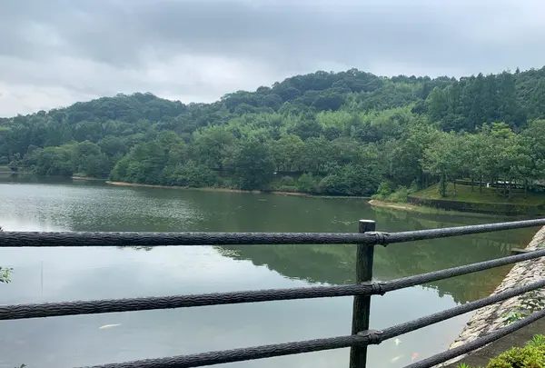 鏡山公園の写真・動画_image_373050