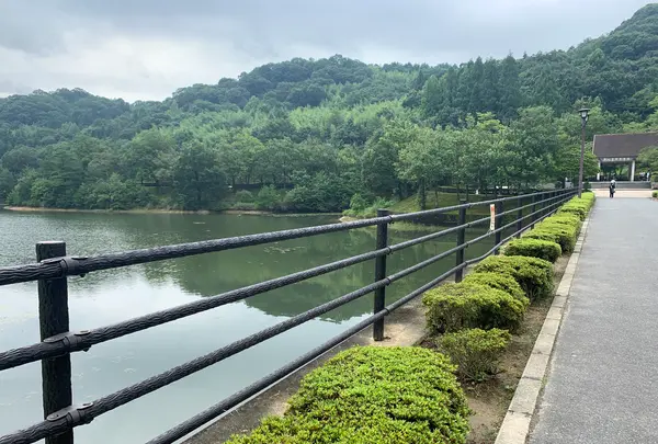 鏡山公園の写真・動画_image_373054