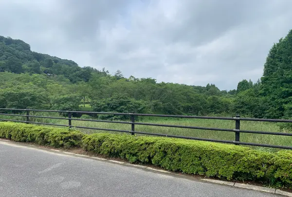 鏡山公園の写真・動画_image_373055