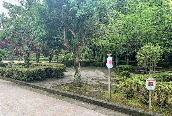 鏡山公園の写真・動画_image_373063