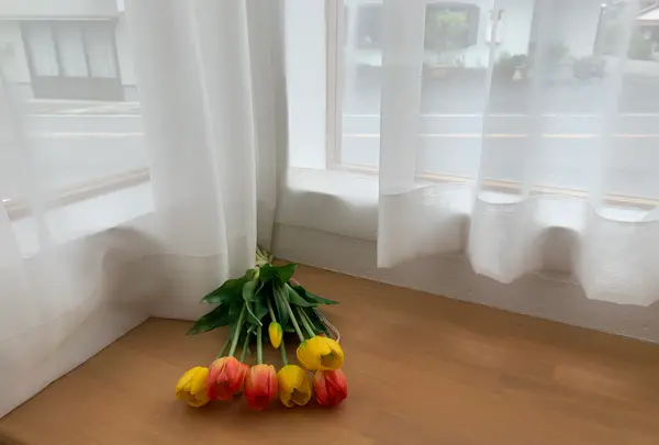 cafe misolaの写真・動画_image_373068