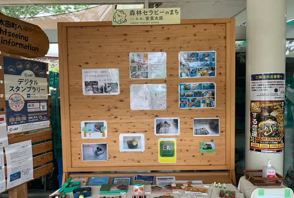 道の駅来夢とごうちの写真・動画_image_373258