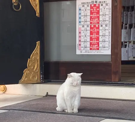 今戸神社の写真・動画_image_373441