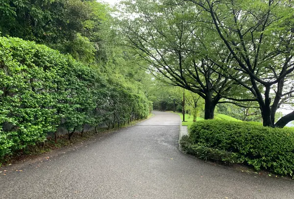 松山総合公園の写真・動画_image_373684