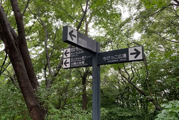 松山総合公園の写真・動画_image_373685