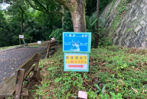 松山総合公園の写真・動画_image_373686