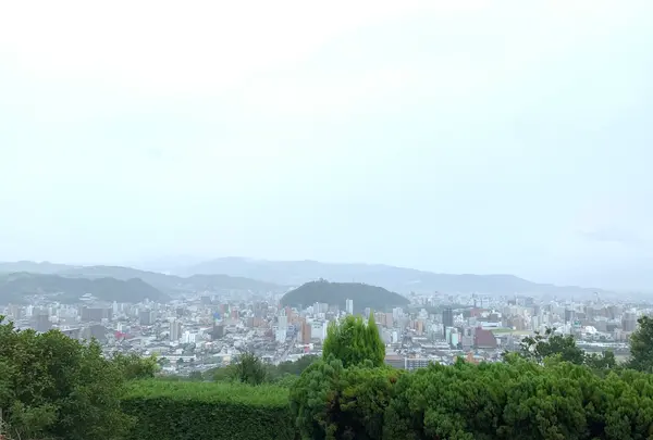 松山総合公園の写真・動画_image_373687