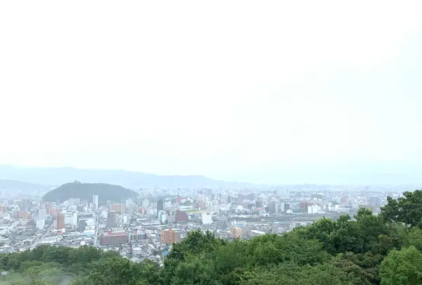 松山総合公園の写真・動画_image_373691