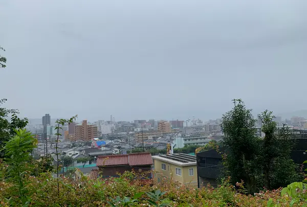 松山総合公園の写真・動画_image_373692