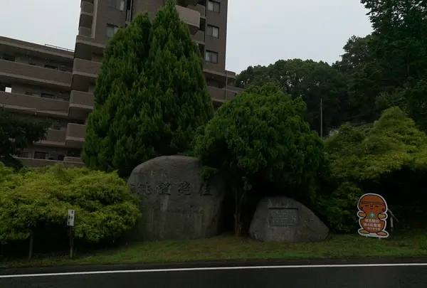松山総合公園の写真・動画_image_373696
