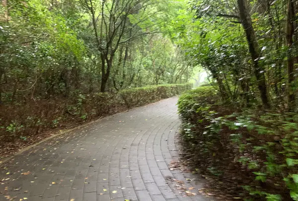 松山総合公園の写真・動画_image_373700