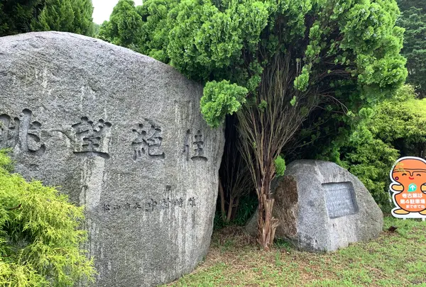 松山総合公園の写真・動画_image_373701