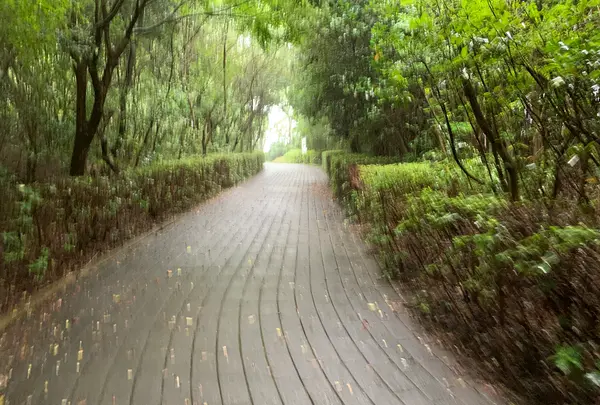 松山総合公園の写真・動画_image_373705