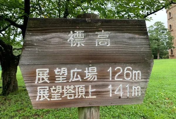 松山総合公園の写真・動画_image_373709