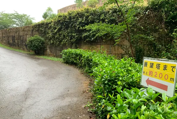 松山総合公園の写真・動画_image_373711