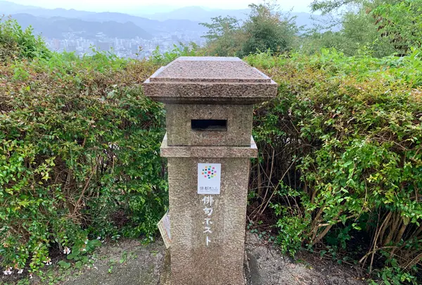 松山総合公園の写真・動画_image_373718