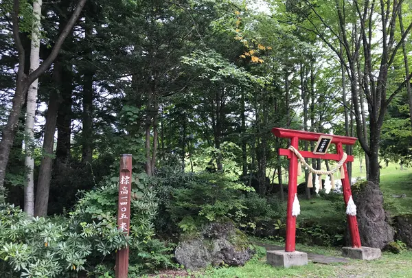 丸沼高原スキー場の写真・動画_image_373743