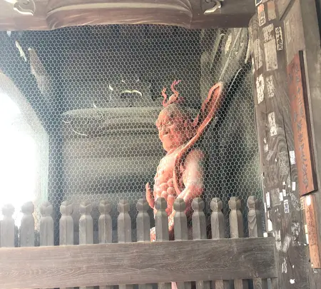 清涼寺 竹仙の写真・動画_image_373746