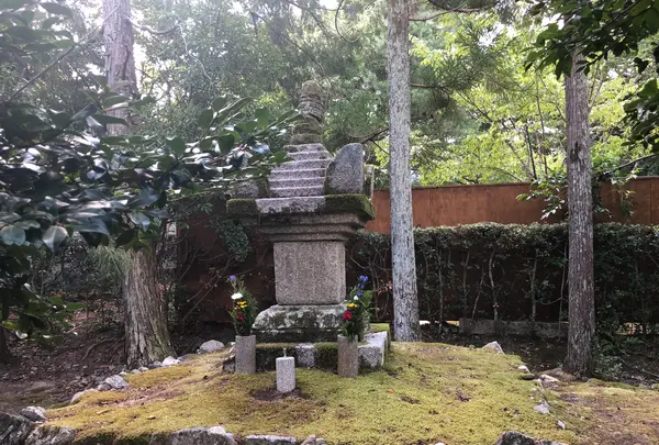 清涼寺 竹仙の写真・動画_image_373751