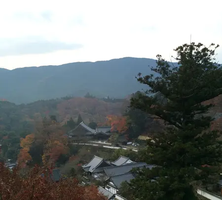 長谷寺の写真・動画_image_373755