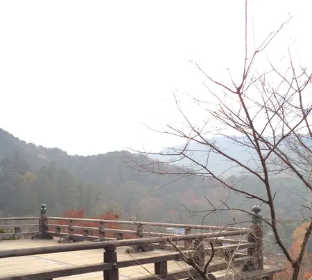 長谷寺の写真・動画_image_373757