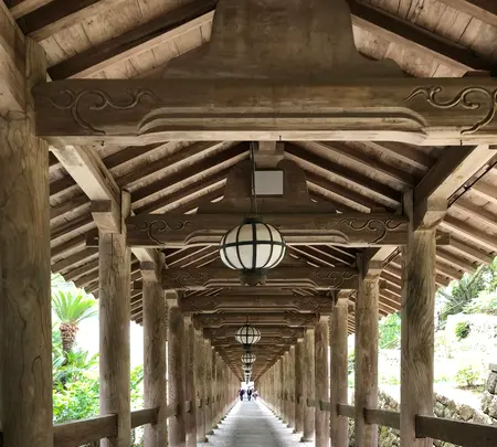 長谷寺の写真・動画_image_373759