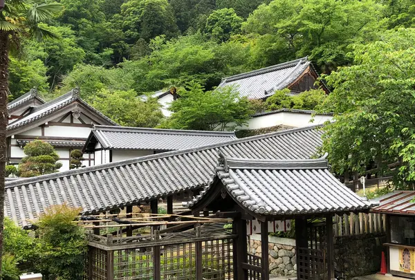 長谷寺の写真・動画_image_373760