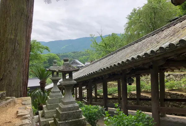 長谷寺の写真・動画_image_373761