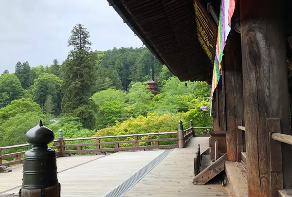 長谷寺の写真・動画_image_373762