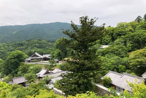 長谷寺の写真・動画_image_373764