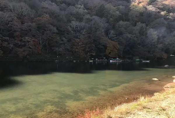 亀山公園の写真・動画_image_373770