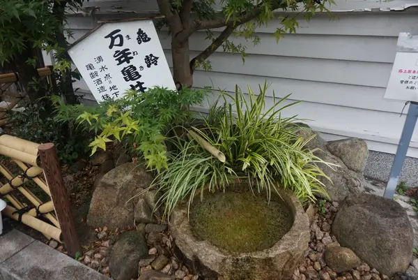 亀齢酒造の写真・動画_image_373868