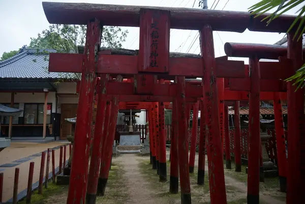 御建神社の写真・動画_image_373891