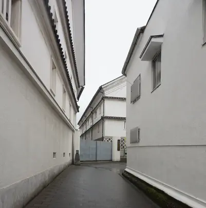 西条酒蔵通りの写真・動画_image_373922