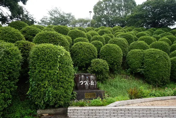 音戸大橋の写真・動画_image_374034
