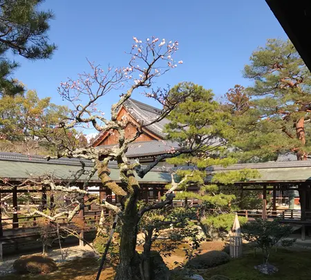 大覚寺の写真・動画_image_374130