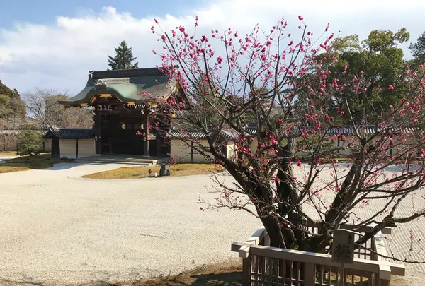 大覚寺の写真・動画_image_374131