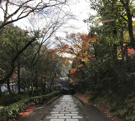 化野念仏寺の写真・動画_image_374138