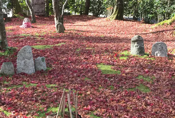 化野念仏寺の写真・動画_image_374141