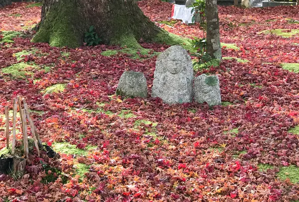 化野念仏寺の写真・動画_image_374142