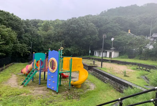 松山総合公園の写真・動画_image_374147