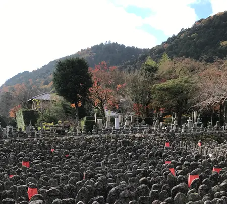 化野念仏寺の写真・動画_image_374163