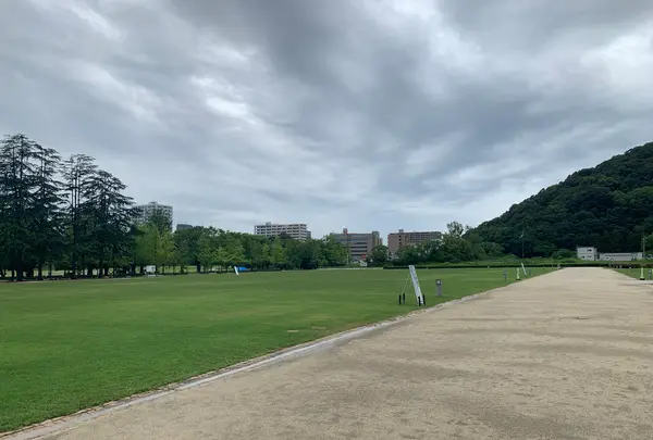 城山公園の写真・動画_image_374223