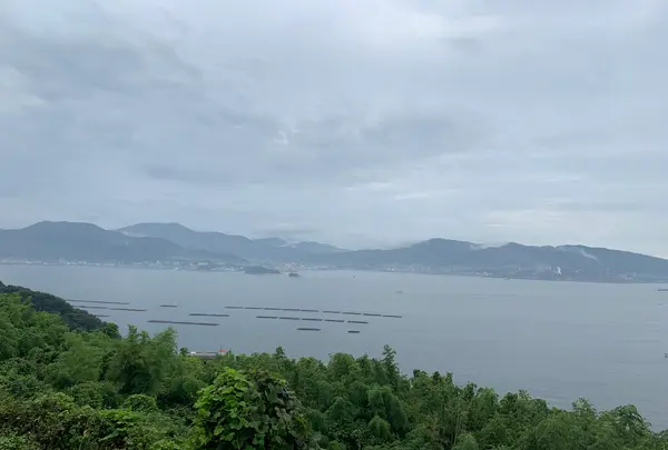 しびれ峠の写真・動画_image_374230