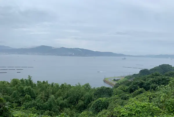 しびれ峠の写真・動画_image_374232