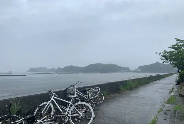 切串港の写真・動画_image_374254