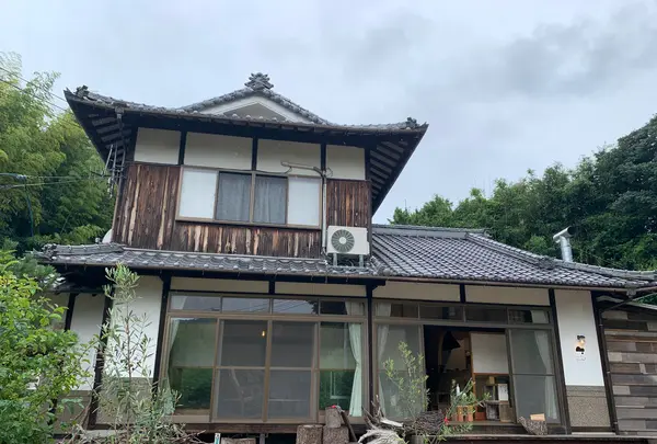 しまのぱん souda！の写真・動画_image_374361