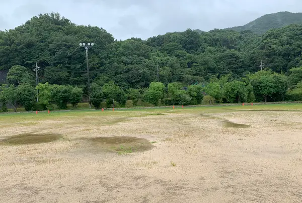 鹿田公園の写真・動画_image_374368
