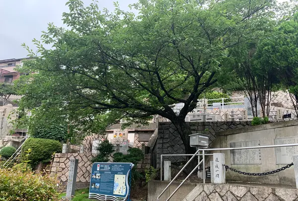 旧海軍墓地（長迫公園）の写真・動画_image_374587