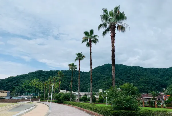 狩留賀海浜公園（ロマンチックビーチかるが）の写真・動画_image_374756